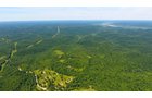 Property photo 13 - LAND AUCTION - 1,682+/- ACRES OFFERED IN 17 TRACTS IN LEWIS & GREENUP COUNTIES, KENTUCKY